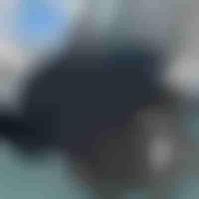 360 fokban forgó ülőpárna | SPINPAD