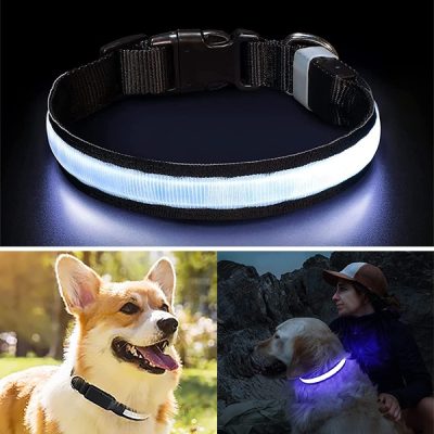 Éjszakai Világító Kutyanyakörv | PETSHINE